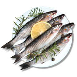 숭어는 철분 함량이 높아 빈혈 예방에 효과적인 식품이다. /사진=해양수산부