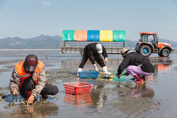 4월 이달의 어촌 여행지 전북 고창 장호마을 /사진=해양수산부