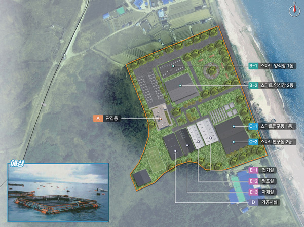 경북 울진에 방어 스마트 양식장 조성 /사진제공=해양수산부