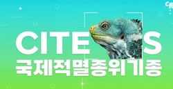국제적 멸종위기종 허가･신고 홍보 /자료제공=환경부