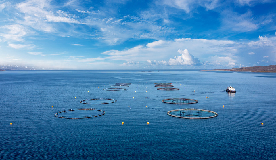 노르웨이와 덴마크 등 여러 선진국은 양식 면허당 최대 허용 자원량을 설정하거나, 양식장 주변의 수질검사를 통해 인과 질소의 검출량이 기준치를 넘어가면 양식장의 문을 닫는 등 강력한 조치를 시행하고 있다. /사진=환경일보DB