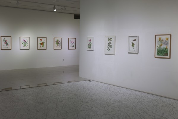 저녁노을 미술관 개관 /사진제공=신안군