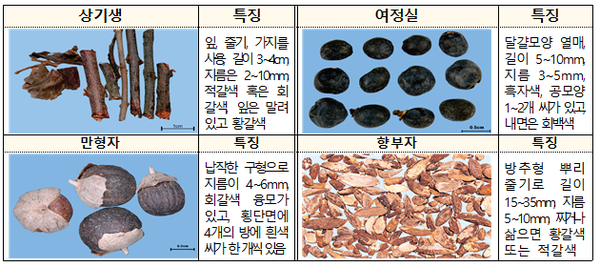 식용불가인 농·임산물/자료제공=식약처