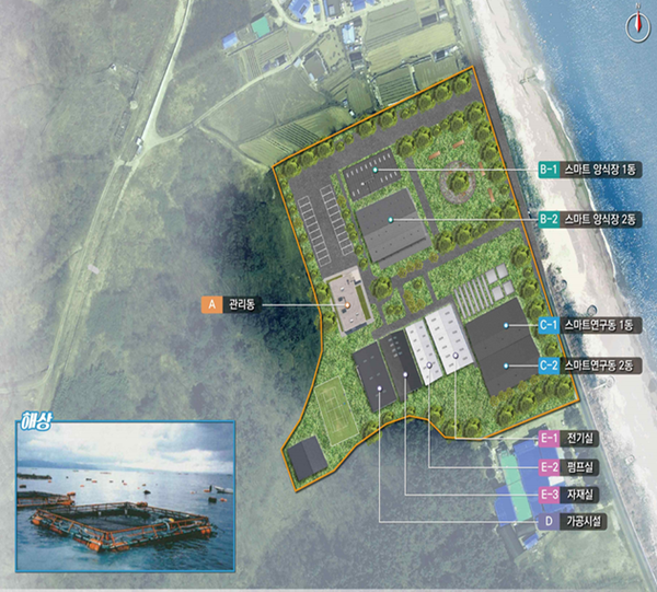 울진군, 방어 스마트양식장 조성한다 /사진제공=울진군