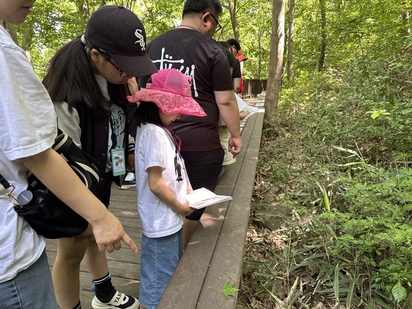 산업재해를 입은 근로자와 가족을 위한 산림치유 프로그램 '숲에서 행복한 우리 가족' 캠프의 참가자를 모집한다. /사진제공=한국산림복지진흥원