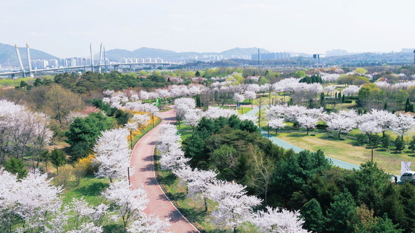 야생화단지 벚꽃 길 /사진=수도권매립지관리공사