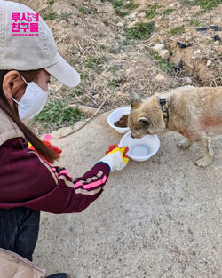 경북 안동 산불 피해 지역 동물 구조 /사진제공=동물권행동 카라