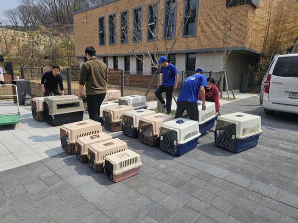 루시의 친구들은 경북 지역 일대를 집어삼킨 대형 산불 속에서 위기 동물 187마리를 구조했고, 대부분 병원으로 이동하여 긴급 치료를 진행하고 있다. /사진=루시의 친구들