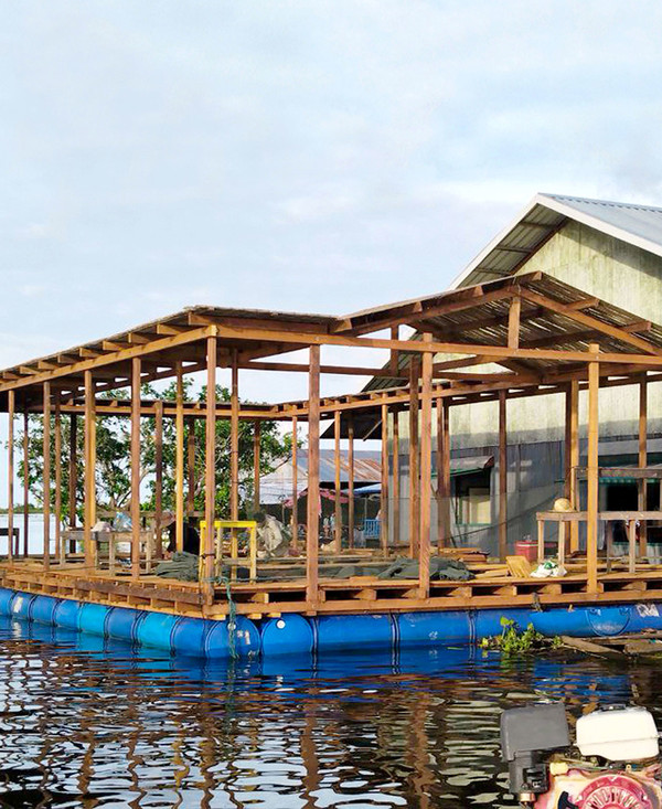 서울디자인어워드 수상 부레옥잠수상텃밭 /사진제공=서울시