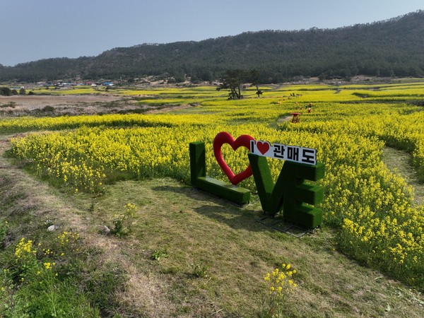 봄의 향기 가득한 축제의 시작 /사진제공=진도군