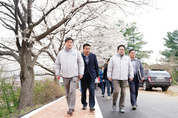 광주시 남종면, ‘정암천 벚꽃길 함께 걷는 봄날’ 성황리 개최 /사진제공=광주시