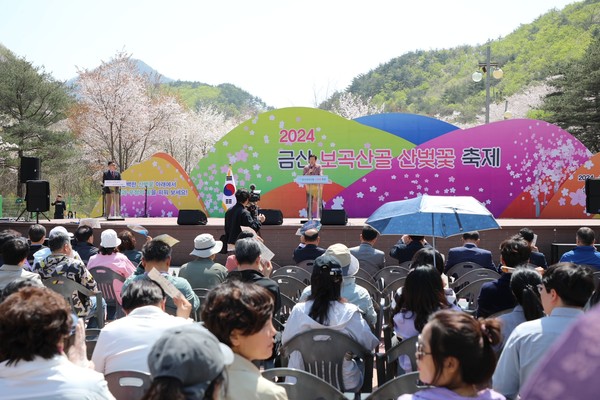 보곡산골 산벚꽃축제 9일 간의 대장정 돌입 /사진제공=금산군