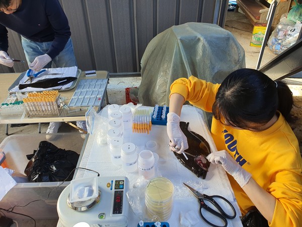 수산질병관리사는 어‧패류 등 수산생물의 질병을 진료하거나 예방하는 전문가로, 체계적이고 전문적인 수산생물의 건강관리를 위해 2004년 처음 도입됐다. /사진제공=해양수산부