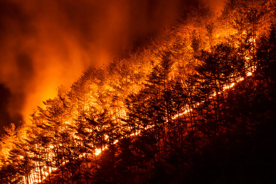 연구에 따르면, 한반도에서는 산불 위험이 높은 기간이 길어지고 있으며, 기존보다 더 빨리 시작하고 늦게 끝나는 경향이 뚜렷하다.  /사진=환경일보DB