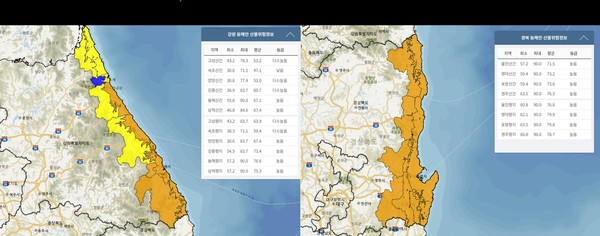 15시 기준 강원, 경북 동해안 산불위험지수 /자료제공=국립산림과학원