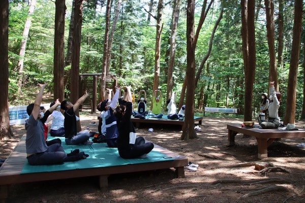 편백나무 숲 맨발 체험 /사진제공=환경부