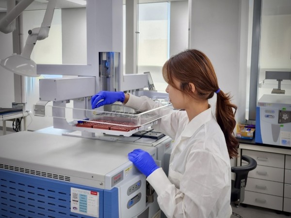 경기도보건환경연구원, 소형 농산물 잔류농약 실험 /사진제공=경기도보건환경연구원