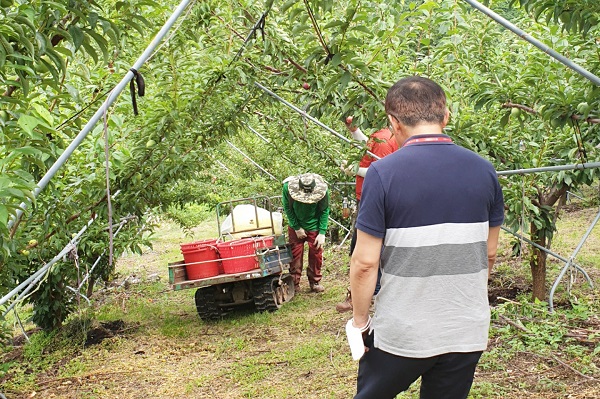 외국인 계절근로자 고용 실태 점검 현장 방문활동 /사진제공=청송군