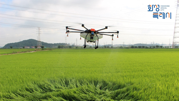 드론 활용한 병충해 방제 작업  /사진제공=화성특례시