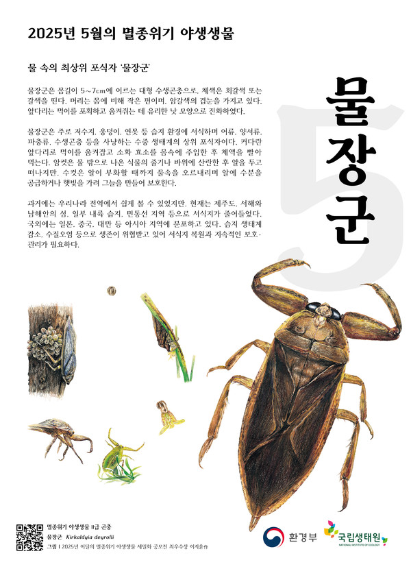 5월의 멸종위기 야생생물 물장군 /자료출처=환경부