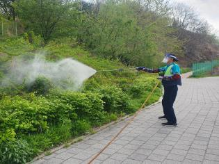 모기 방역 작업을 하는 모습 /사진제공=광진구