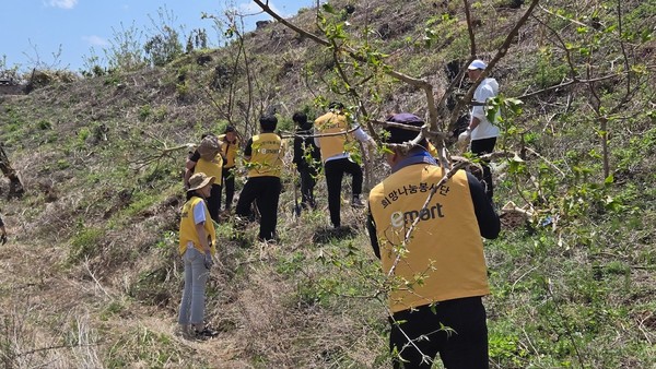 ‘내일의 숲’ 조성 봉사활동 /사진제공=미래숲
