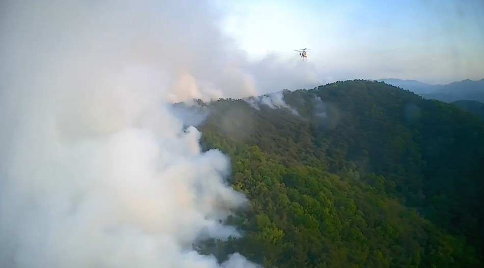 지난 4월28일 발생한 대구 북구 산불 현장 /사진제공=산림청