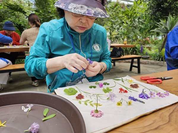 광주시, 경증 치매 어르신 위한 치유농업 프로그램 운영 /사진제공=광주시