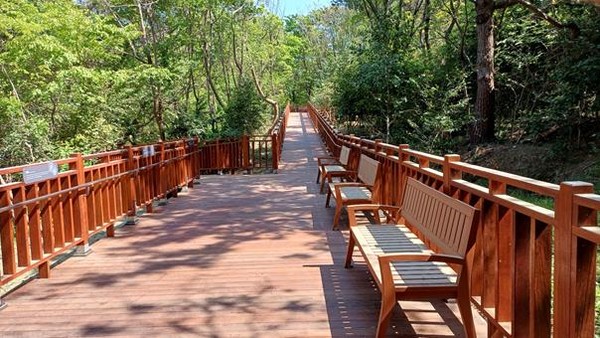 시는 5월15일 '숲속 산책길'을 개방한다. /사진제공=부산시 