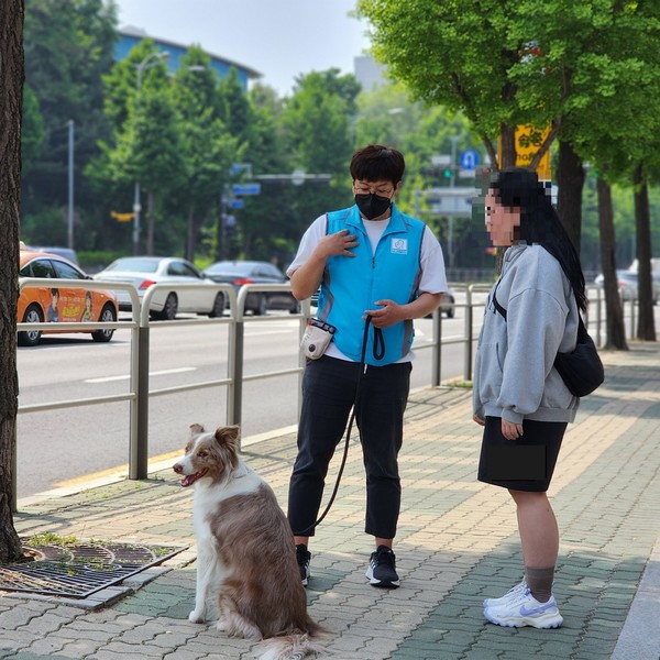 관악구 반려동물 행동교정 교육 프로그램 운영 모습 /사진제공=관악구청