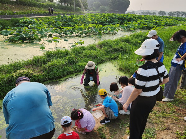 호조벌 생태체험 프로그램 현장 /사진제공=시흥시