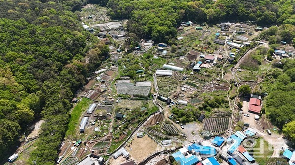 국내 24번째 국립공원 지정을 앞둔 금정산은 6개 구가 걸쳐져 있다. 금정산 속내를 들여다보면 불법 무허가 영업소가 수십 년째 불법행위를 이어오며 산림훼손과 환경파괴를 지속해 왔다. 관할 구청은 '과태료' 부과 외에 다른 방법이 없다고 말한다. /사진=이왕용 기자 