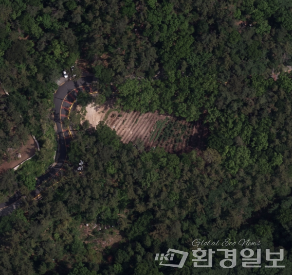 항공 촬영한 2023년 부산 금정구 장전동 2 지역 /사진제공=국토지리정보원 