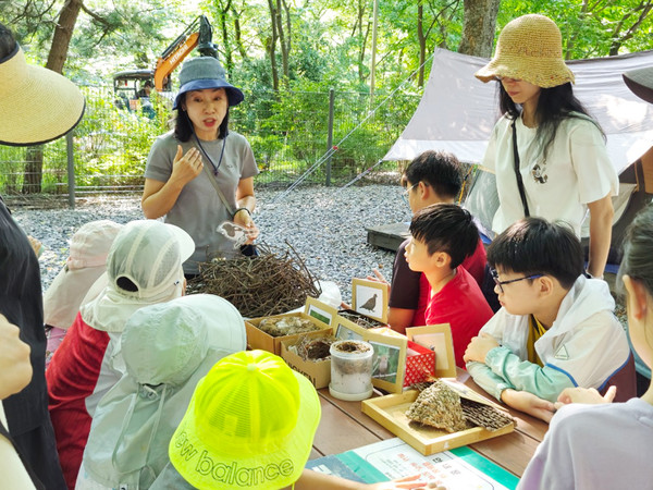 지난해 실시된 캠핑숲 프로그램 ‘달빛곤충탐험대’에 참여한 아이들 /사진제공=관악구