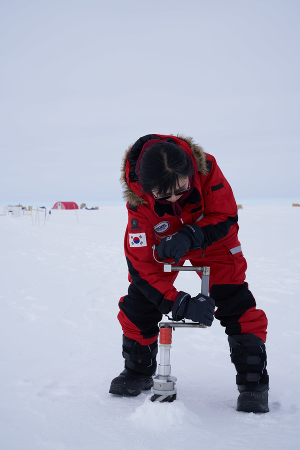Hand auger로 천부 빙하를 시추하는 신진화 연구원 /사진=Sepp Kipfstuhl