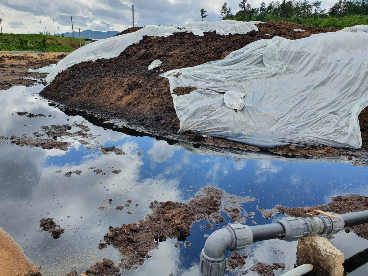 가축분뇨 야적퇴비 방치·부적정 보관 사례. 덮개 훼손 및 침출수 발생 현장 /사진제공=환경부