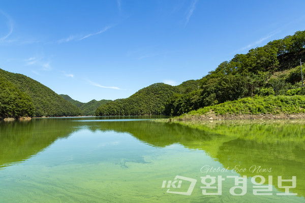 환경부는 조류독소와 관련해 국민 불안이 발생함에 따라 공기 중 조류독소에 대한 객관적이고 투명한 조사를 실시할 예정이다. /사진=환경일보DB