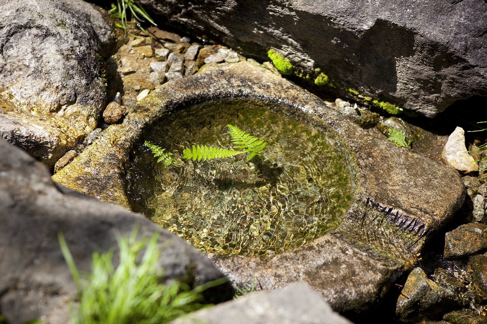 2011년 조성된 뜬봉샘 생태공원에는 하늘다람쥐와 세뿔투구꽃(멸종위기 야생생물 Ⅱ급), 꼬리명주나비(적색목록 ‘취약’), 뻐꾹나리(깃대종) 등이 서식하고 있다. /사진=환경부