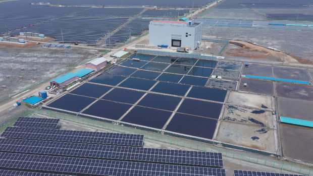 당진시 염해지 태양광 조성 전경