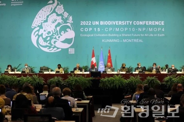 몬트리올 COP15에서 채택된 ‘쿤밍-몬트리올 글로벌 생물다양성 프레임워크’는 인류가 자연과 조화롭게 살아가기 위한 새로운 이정표를 제시한 바 있다. /사진=UN BIODIVERSITY
