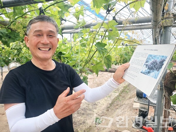 유럽종 포도 재배로 인생 이모작 성공 모델로 손꼽히는 '은기원' 포도농원 서병희 대표 /사진=장가을 기자 