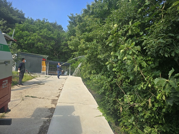 돌발해충 박멸을 위한 공동방제  활동 /사진제공=영양군