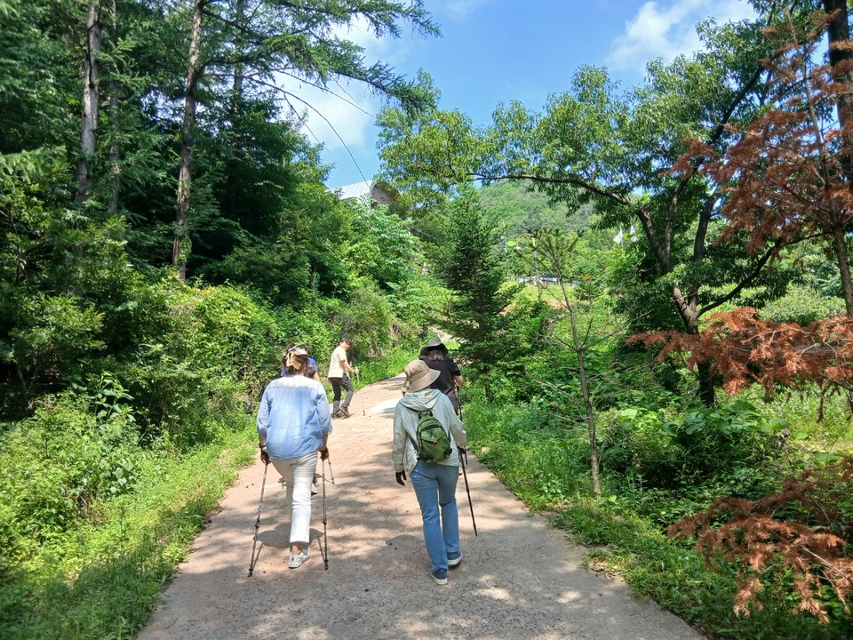 노르딕워킹 산림치유 프로그램 참여자들  /사진제공=한국산림복지진흥원
