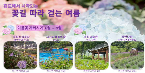 진도군, ‘운림 수국의 밤’ 관심 집중 /사진제공=진도군