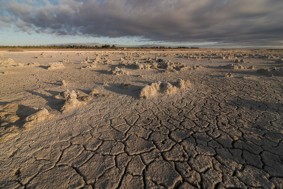 UNCCD(유엔사막화방지협약) 아시아·태평양 담당관인 전덕하 박사는 “전 세계 인구의 약 40%가 토지 황폐화의 영향을 받고 있으며, 특히 개발도상국과 건조지역 주민들의 생계와 직결된 문제”라고 지적했다. /사진=환경일보DB