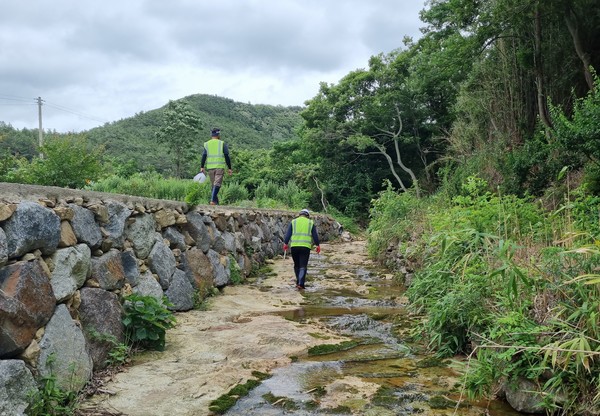  산림재해 우려지역 점검 /사진제공=영암군