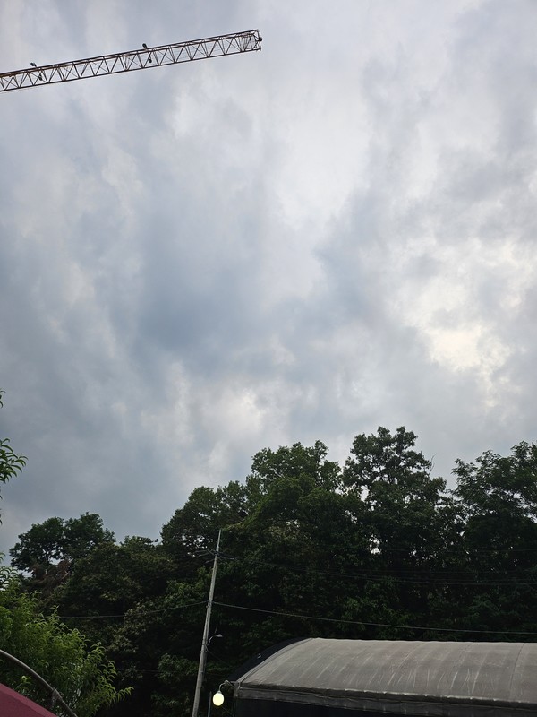 타워크레인의 일부 이동 동선이 공사장 외곽 인근 주택 지붕 위로 넘어온 모습 /사진=이기환 기자