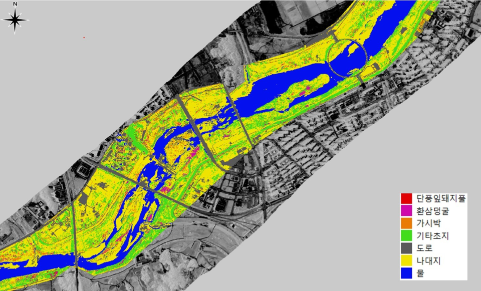 금강 유역의 생태 교란 식물의 군락지 지도 /자료제공=환경부