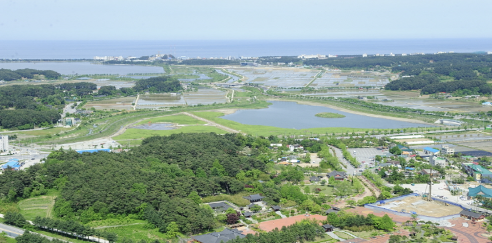 7월 ‘이달의 생태관광지’로 선정된 ‘강릉 가시연습지·경포호’ 전경 /사진제공=환경부