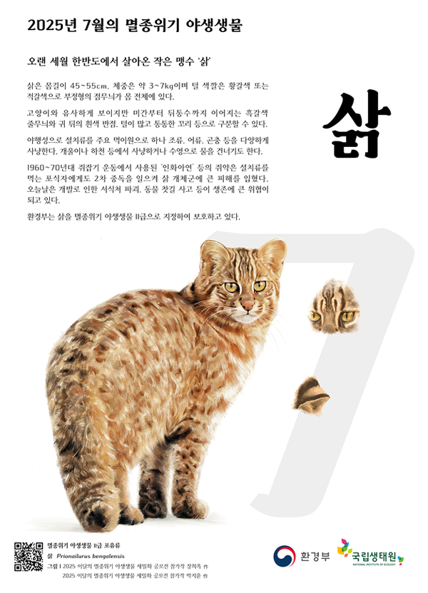 멸종위기 야생생물 삵 포스터 /자료제공=환경부